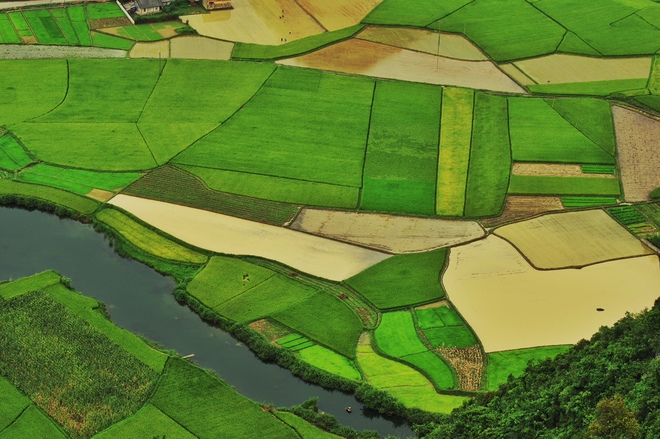 Đẹp[-]tuyệt[-]vời[-]thung[-]lũng[-]Bắc[-]Sơn[-]thời[-]điểm[-]sắp[-]vào[-]vụ[-]mùa